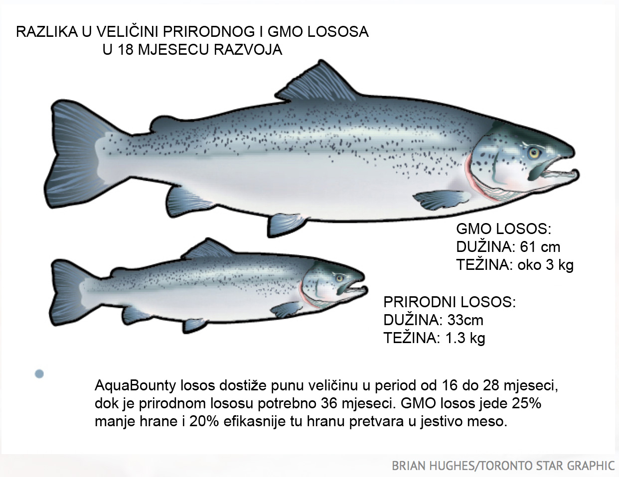 PRIRODNI VS GMO LOSOS