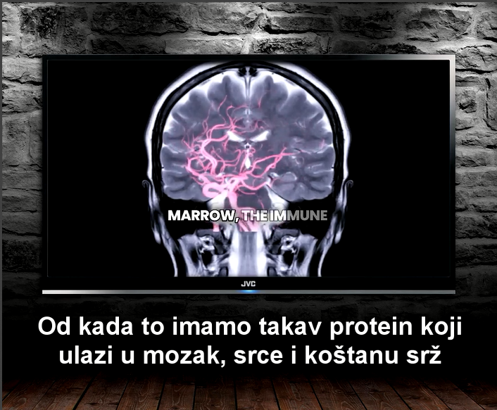 2. od kada imamo da protein ulazi u mozak koštanu srž