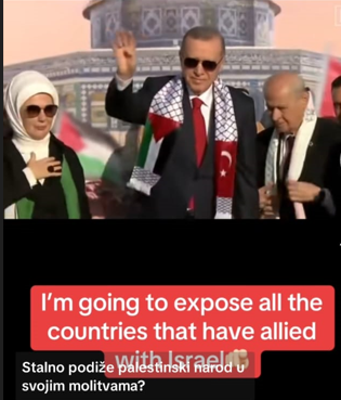 moli za palestince